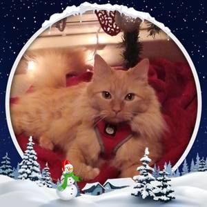 Meet your Posher, Judy